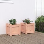 vidaXL Jardinières 2 Pièces bois massif douglas