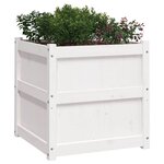 vidaXL Jardinières 2 Pièces blanc bois de pin massif