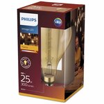 Philips ampoule led giant 5 w 300 lumens flamme 929001817101