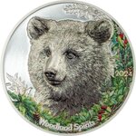 Pièce de monnaie en Argent 500 Togrog g 31.1 (1 oz) Millésime 2024 Woodland Spirit BEAR (PRÉCOMMANDE)