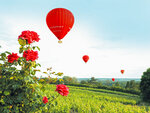 SMARTBOX - Coffret Cadeau Vol en montgolfière au-dessus du château de Saumur -  Sport & Aventure