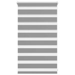 vidaXL Store 50x100 cm Gris