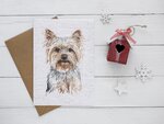Carte à planter nos amis les chiens