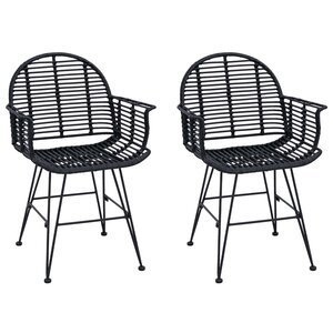 vidaXL Chaise de salle à manger 2 pc Rotin et métal Noir