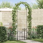 vidaXL Arche de jardin avec verrouillage Noir 102 x 50 x 218 cm