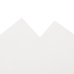 vidaXL Bâche blanc 5x7 m 650 g/m²