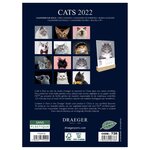 Calendrier 2022 sur socle - chats - draeger paris