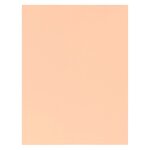 Paquet de 50 chemises 1 rabat SUPER 250 - 24x32cm EXACOMPTA