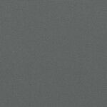 vidaXL Auvent latéral rétractable anthracite 220x300 cm