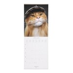 Petit calendrier mural chats - 2022 - draeger paris