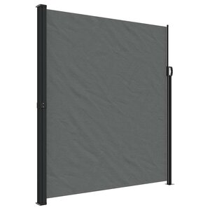 vidaXL Store latéral rétractable Anthracite 220 x 300 cm