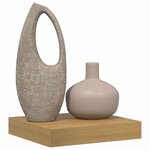 vidaXL Étagère Murale Marron 23 x 23 5 x 4 cm Bois d'ingénierie