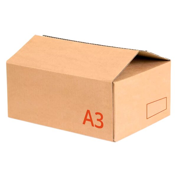 Caisses norme automobile – Lot de 50 carton brun 50x120x50 cm