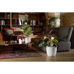 Cache-pot 14 8 Ø 29 5 x 27 1 cm - Blanc ivoire