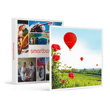 SMARTBOX - Coffret Cadeau Vol en montgolfière au-dessus de Fontainebleau -  Sport & Aventure