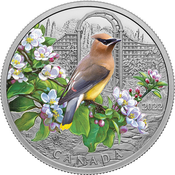 Pièce de monnaie en argent 20 dollars g 31.39 millésime 2022 colourful birds cedar waxwing