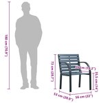 vidaXL Chaises de jardin lot de 2 sapin massif acier enduit de poudre