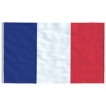 vidaXL Drapeau de la France et mât 5 55 m Aluminium