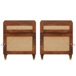 vidaXL Tables de chevet Marron Rotin et bois de mangue massif