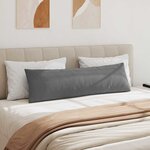 vidaXL Coussins de canapé 2 Pièces Gris foncé 145 x 40 cm tissu