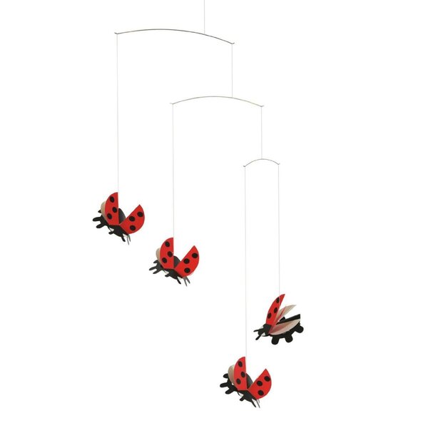 Coccinelle