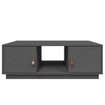 vidaXL Table basse Gris 100x50x35 cm Bois massif de pin