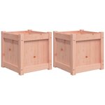 vidaXL Jardinières 2 Pièces bois massif douglas