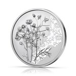Pièce de monnaie 10 euro Autriche 2023 argent BU – Camomille