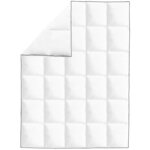 vidaXL Couette en duvet d'hiver 2 Pièces 135 x 200 cm