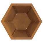 vidaXL Braise Marron 50 x 50 x 40 cm Acier résistant aux intempéries