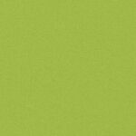 vidaXL Oreiller d'extérieur 2 Pièces 45 x 45 cm Vert pomme