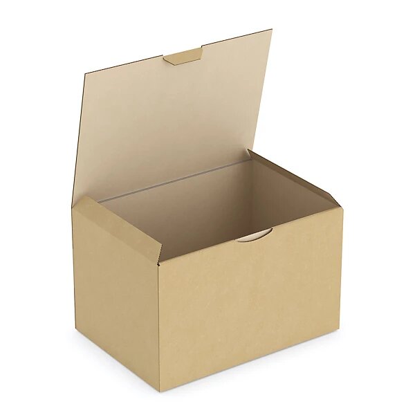 Boîte carton brune d'expédition rajapost 24x17x15 cm (lot de 50)