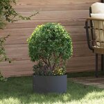 vidaXL Cache-pot de jardin Anthracite 30 x 30 x 20 cm Acier