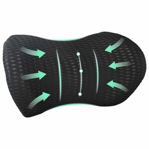 vidaXL Coussin de Dos avec oreiller Noir 46 x 24 x 11 cm Maille 4D