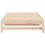 vidaXL Lit coulissant sans matelas 2x(100x200) cm bois de pin massif