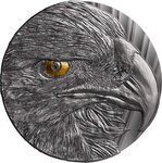 Pièce de monnaie en Argent g 15 Millésime 2023 PREDATOR OF THE SKY