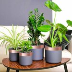 vidaXL Ruban en Cuivre Double Face 6 Pièces Cuivre 2000 x 5 cm Cuivre