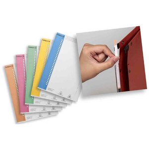 Étiquettes 6mmx296mm pour dossiers suspendus  Nr. 9  couleurs assorties L'OBLIQUE AZ