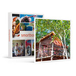 SMARTBOX - Coffret Cadeau Séjour dans les arbres : 2 jours en famille dans une cabane et tyrolienne près de Tarbes -  Séjour