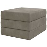 vidaXL Canapé-lit pliable 90 x 67 x 45 cm Gris clair