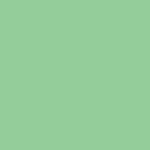 Ramette 250 Feuilles Papier 120g A4 210x297 mm Certifié FSC VERT NATURE TROPHÉE