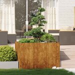 vidaXL Jardinière rouillé 120x80x80 cm acier inoxydable