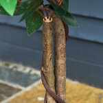 Outsunny arbre artificiel plante artificiel ficus hauteur 1 2 m tronc branches liane lichen feuilles grand réalisme pot inclus