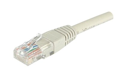 Câble/Cordon réseau RJ45 Catégorie 6 FTP (U/UTP) Droit 30cm (Gris)