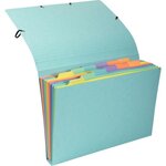 Trieur à soufflet en carte lustrée 12 compartiments Aquarel EXACOMPTA