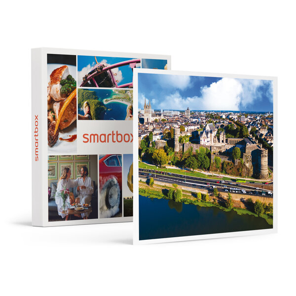 SMARTBOX - Coffret Cadeau Vol sensationnel d'1h en ULM au-dessus des paysages d'Angers pour 2 -  Sport & Aventure