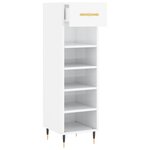 vidaXL Armoire à chaussure Blanc brillant 30x35x105 cm Bois ingénierie
