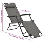 vidaXL Chaises longues pliables 2 Pièces avec repose-pied Acier Gris