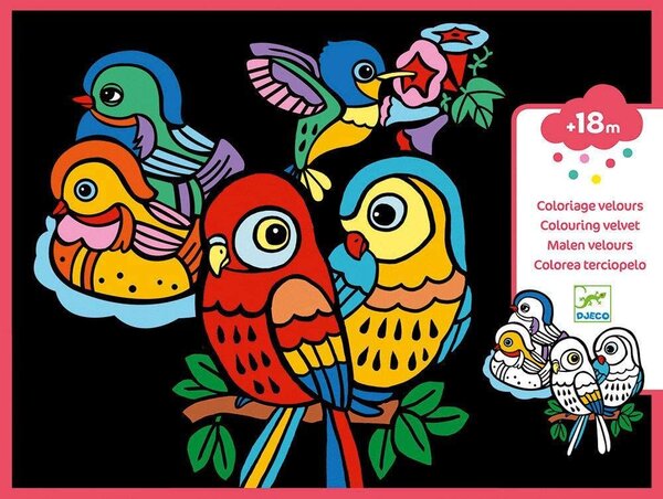 Coloriages bebes oiseaux