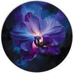 Pièce de monnaie en Argent 1 Dollar g 31.1 (1 oz) Millésime 2025 Flowers Of Life ORCHID